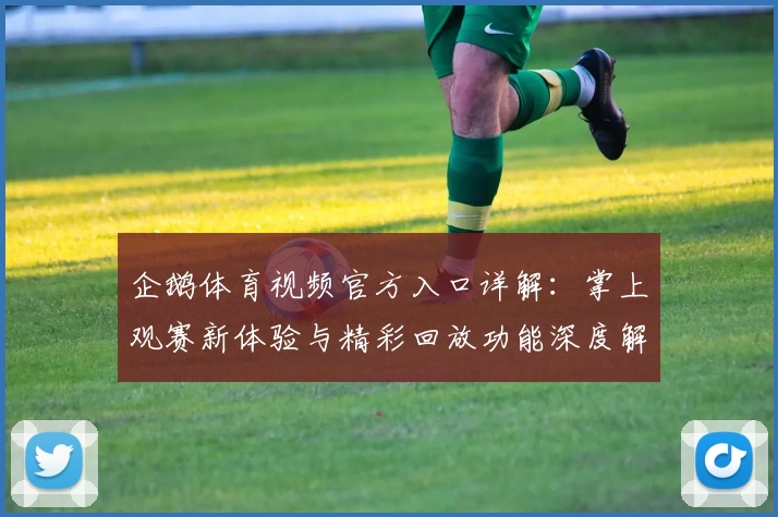 企鹅体育视频官方入口详解：掌上观赛新体验与精彩回放功能深度解析