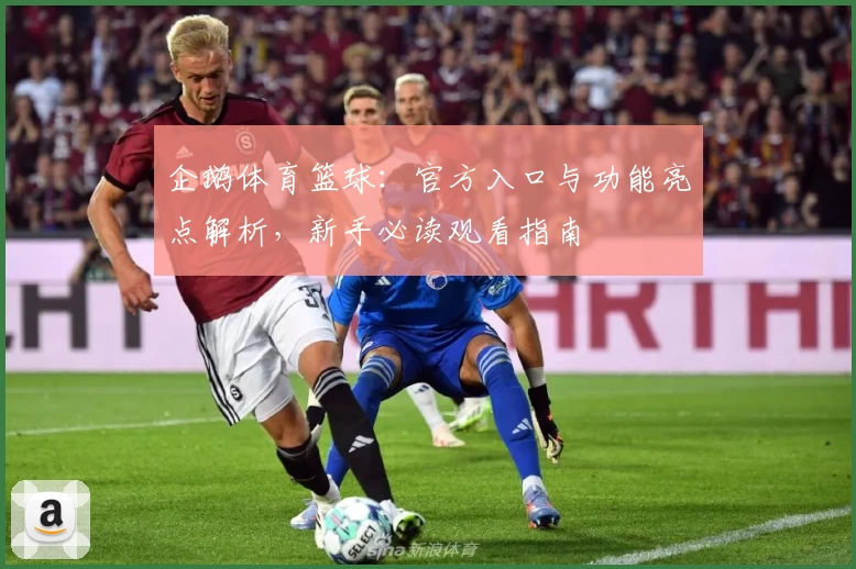 企鹅体育篮球：官方入口与功能亮点解析，新手必读观看指南