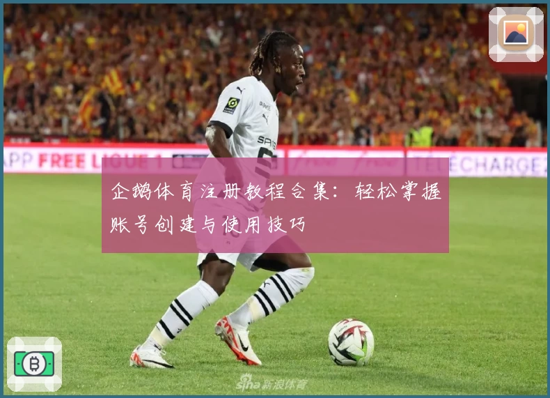 企鹅体育注册教程合集：轻松掌握账号创建与使用技巧