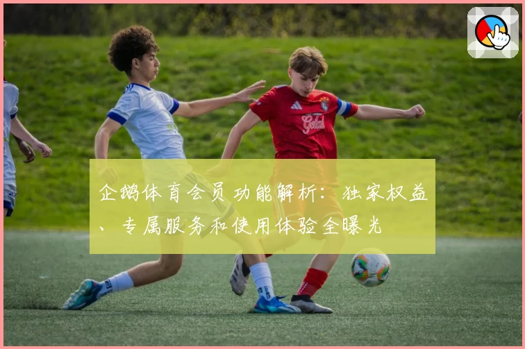 企鹅体育会员功能解析：独家权益、专属服务和使用体验全曝光