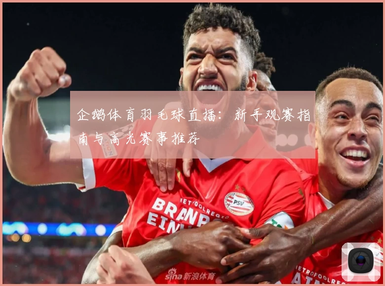 企鹅体育羽毛球直播：新手观赛指南与高光赛事推荐