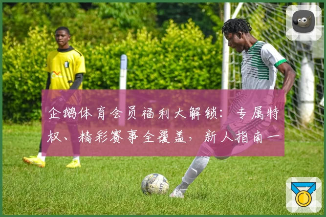 企鹅体育会员福利大解锁：专属特权、精彩赛事全覆盖，新人指南一键畅享