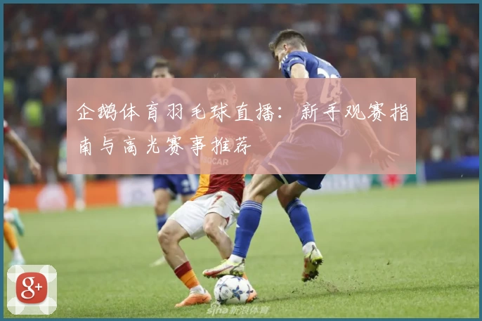 企鹅体育羽毛球直播：新手观赛指南与高光赛事推荐