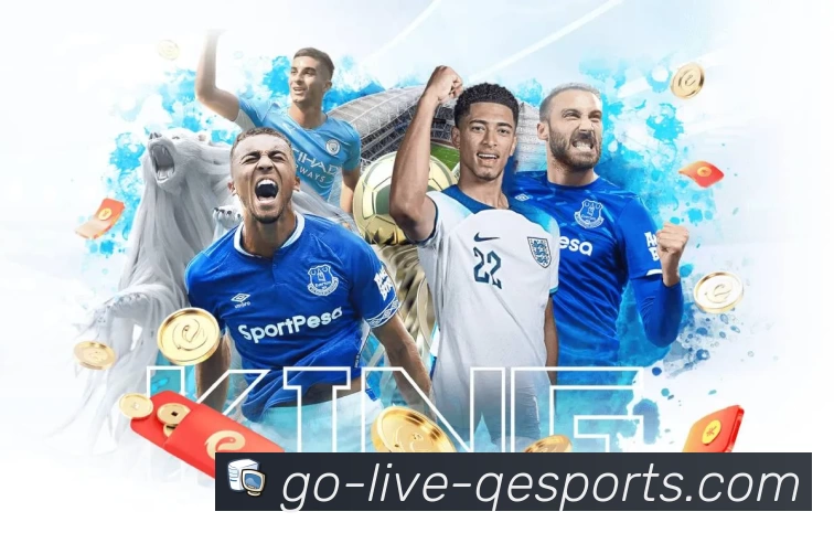 企鹅体育App预览